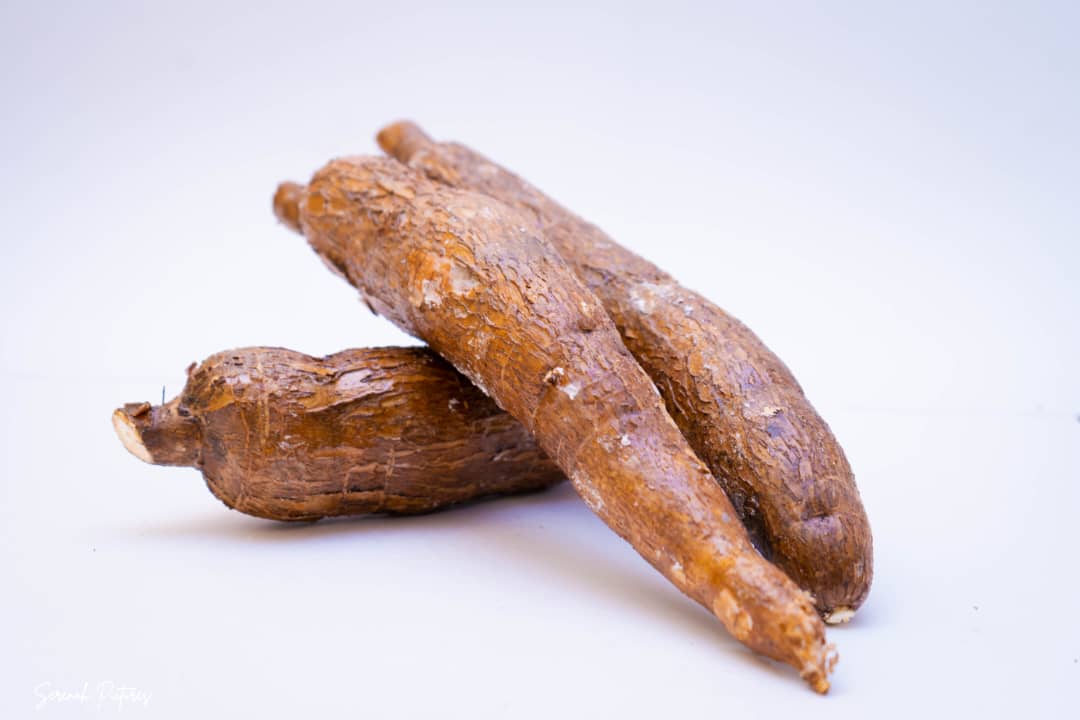 Manioc tubercules