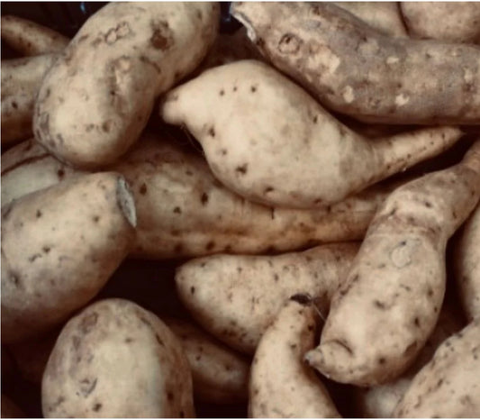 Patate
