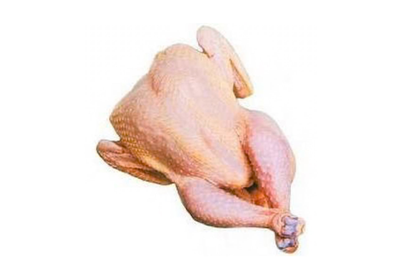 Petit poulet dur