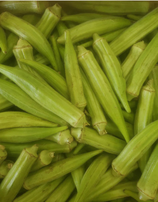 Gombo/okra