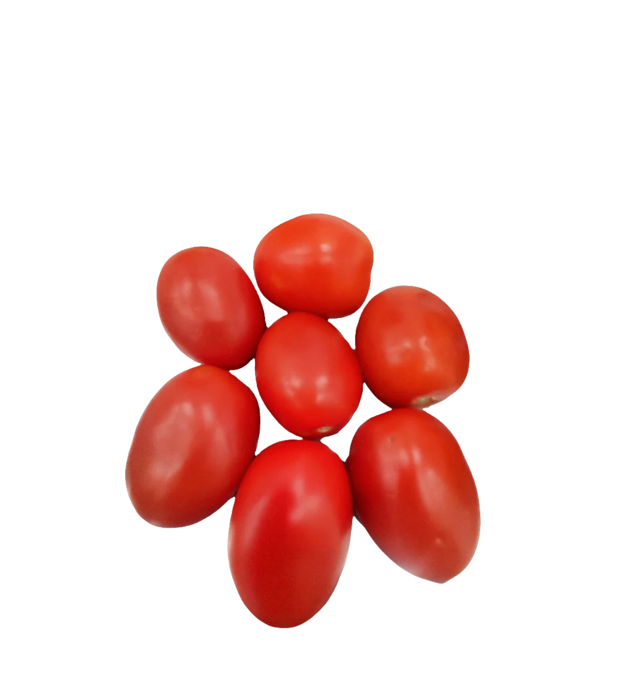 Tomate fraîche