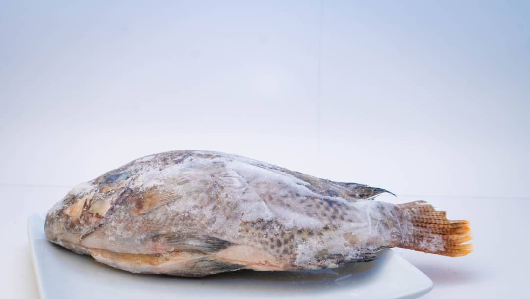 Gros tilapia