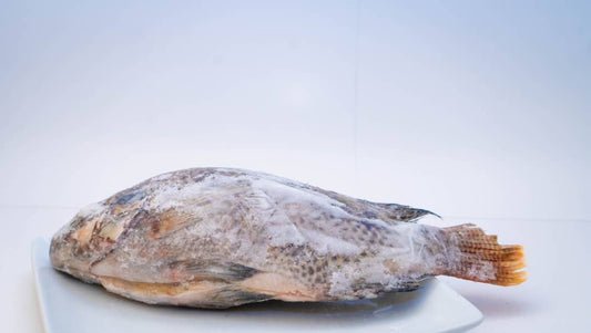 Gros tilapia
